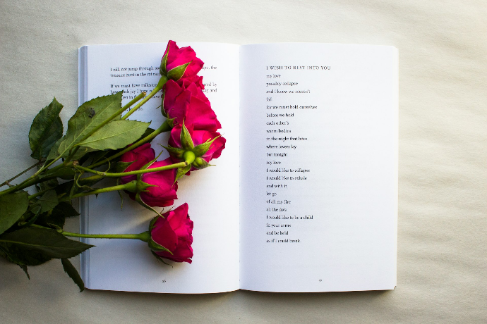 red roses on book